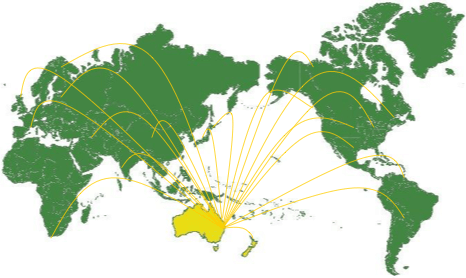 Distribution