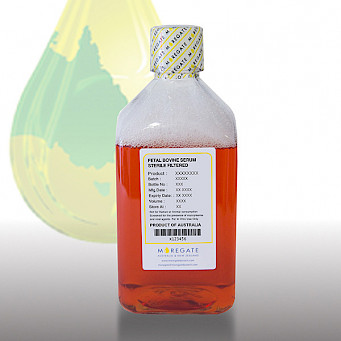 Fetal Bovine Serum - Sterile Filtered